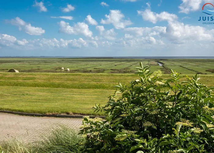 Haus Seepferdchen 238 - Watt *